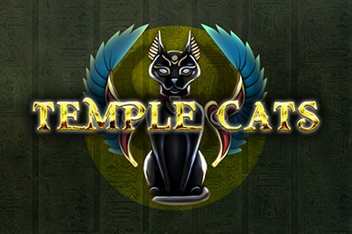 Templecats игровой автомат Аврора Казино